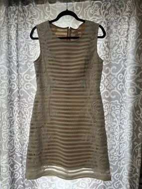 Sleeveless Cream Lace-Striped Mini Dress